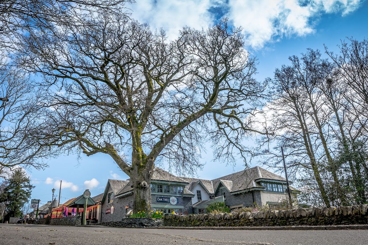 The Oak Tree Inn