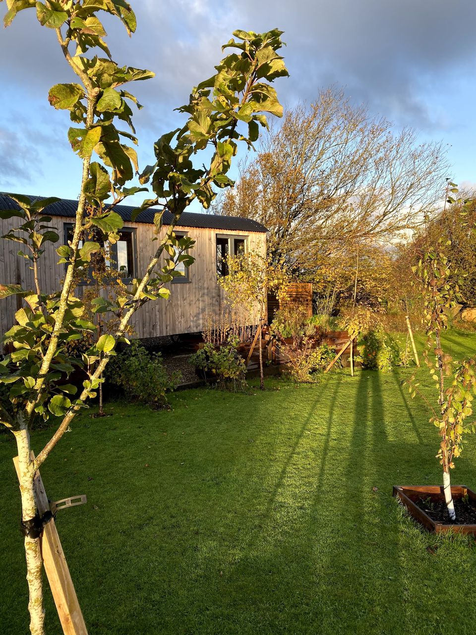 The Old Vicarage B and B