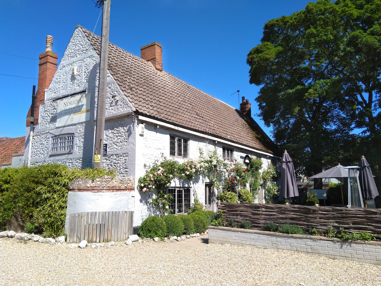 The Orange Tree