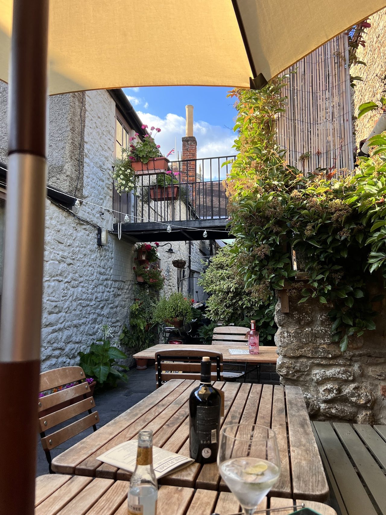 The Plume of Feathers