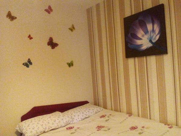 The Shanklin Hotel