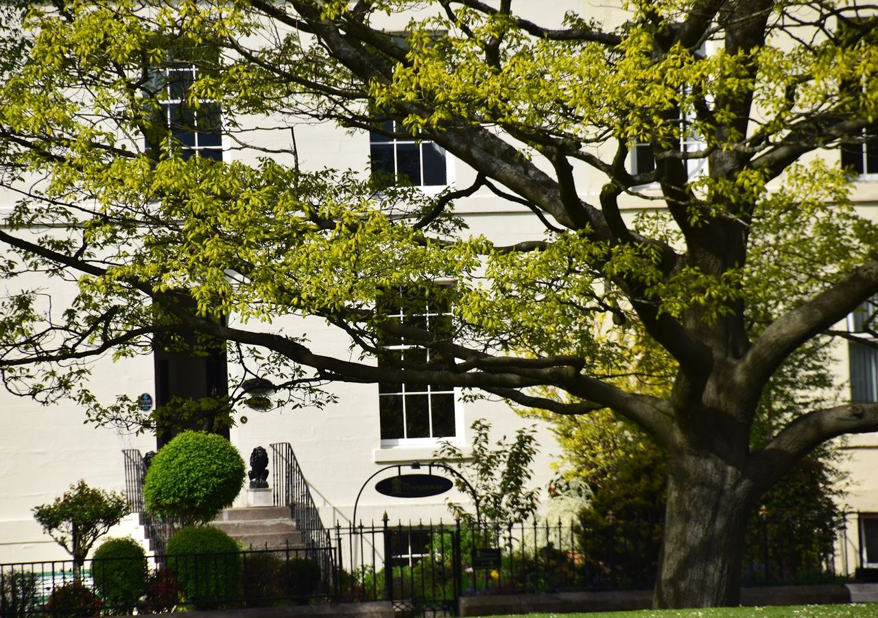 The Townhouse