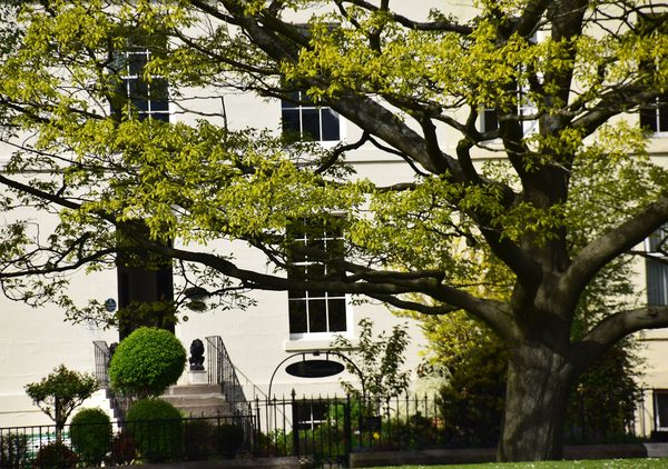 The Townhouse