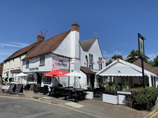 The Yew Tree