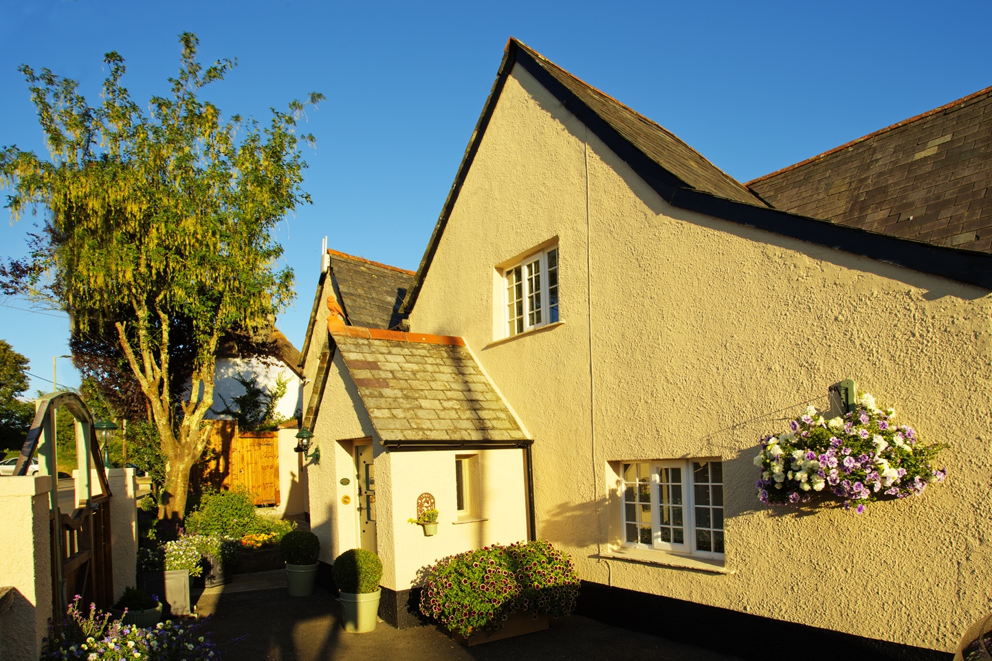 Tinhay Mill