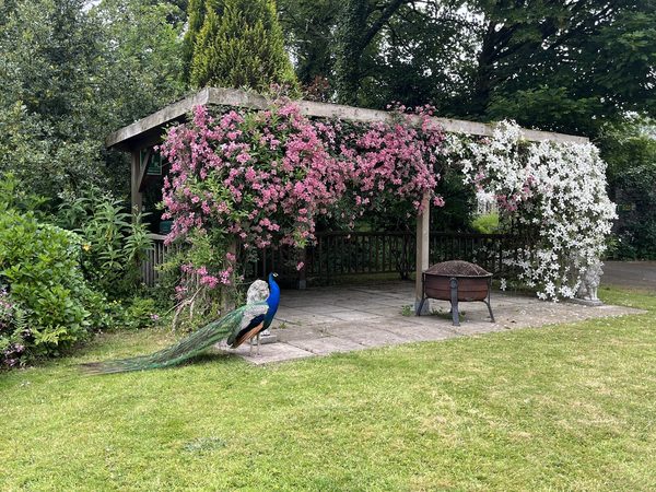 Trimstone Manor Country House Hotel