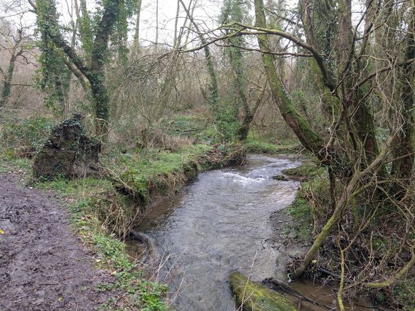 Troedyrhiw Bed and Breakfast