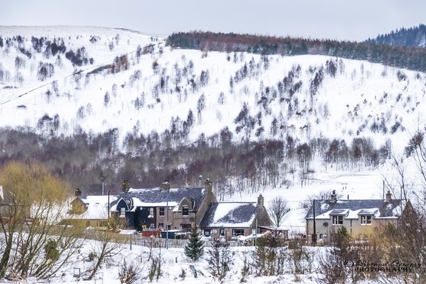 Tweed View B&B