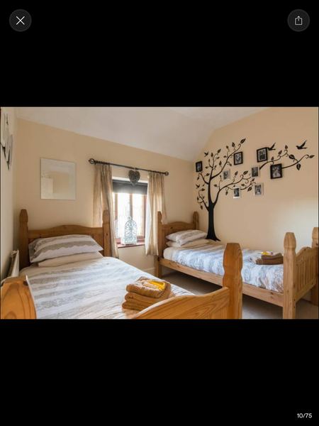 Ty Mynydd Lodge