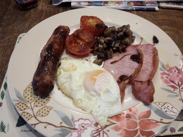 Ty Newydd