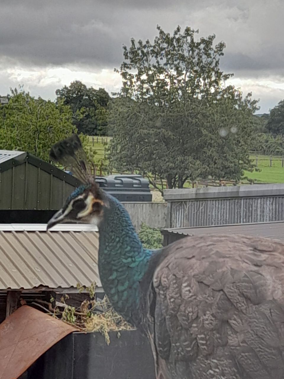 Weston Grounds Farm