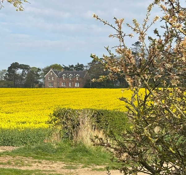 Whitehouse Country House
