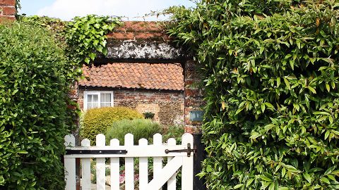 Willow Tree Farm