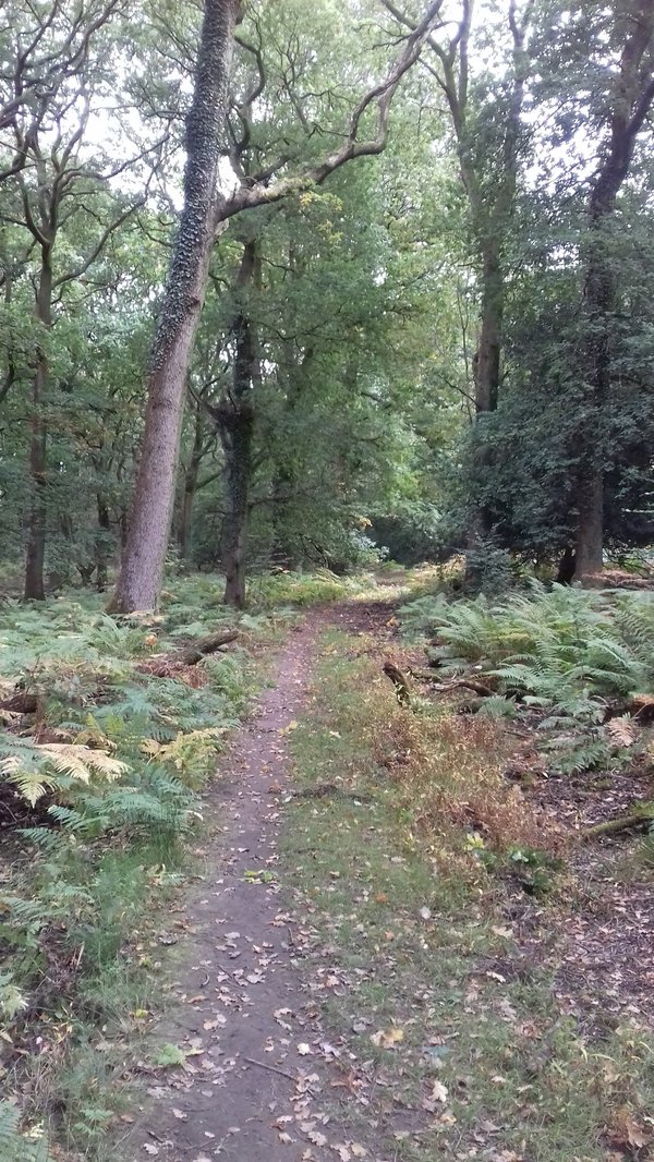 Woodmill Farm