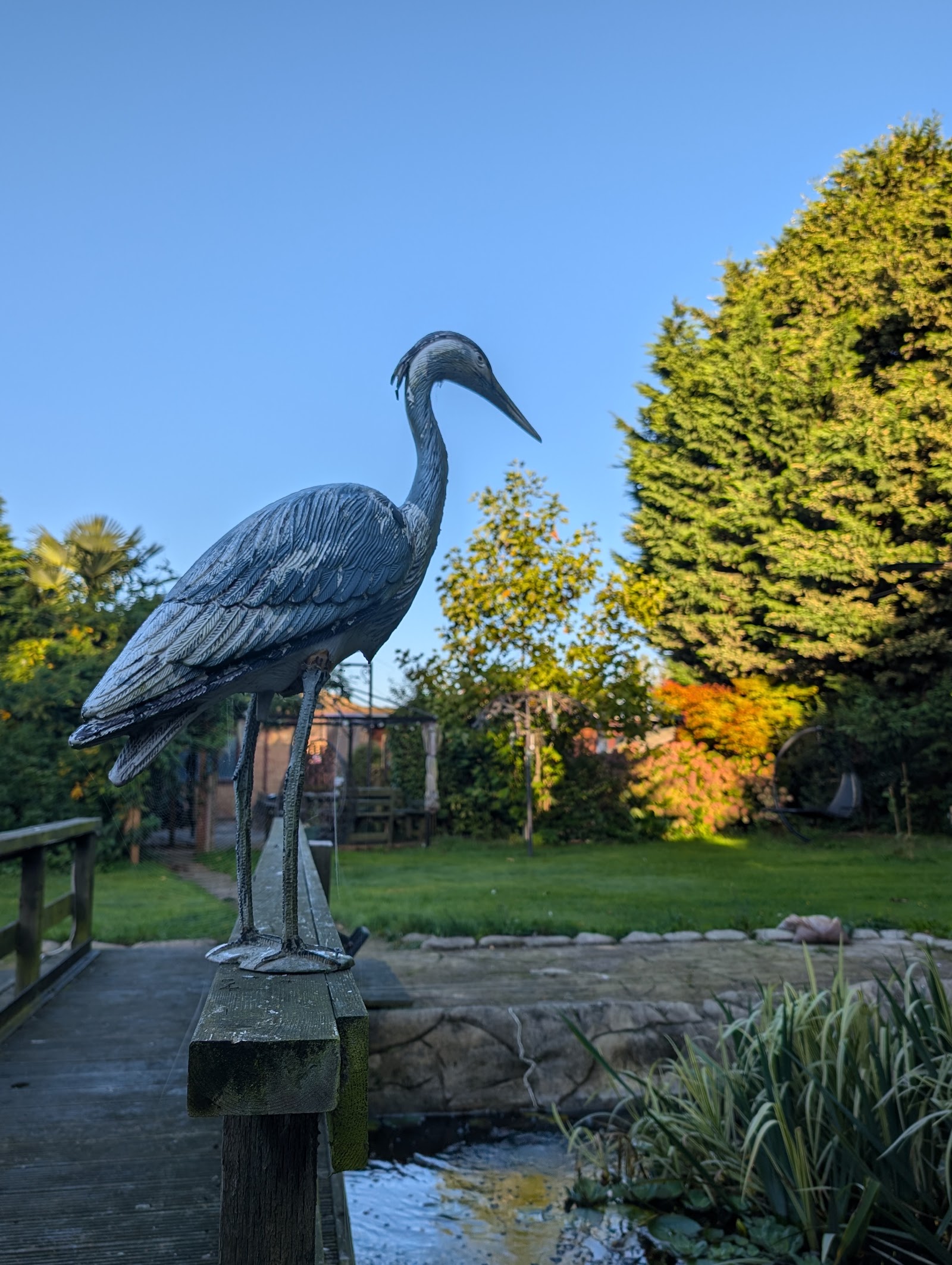Woodpaddock Bed & Breakfast