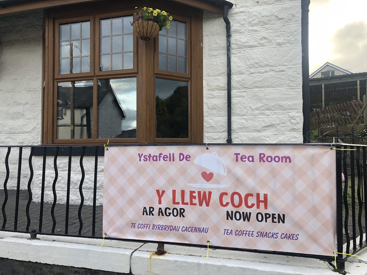 Y Llew Coch