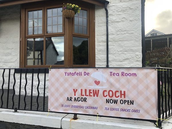 Y Llew Coch