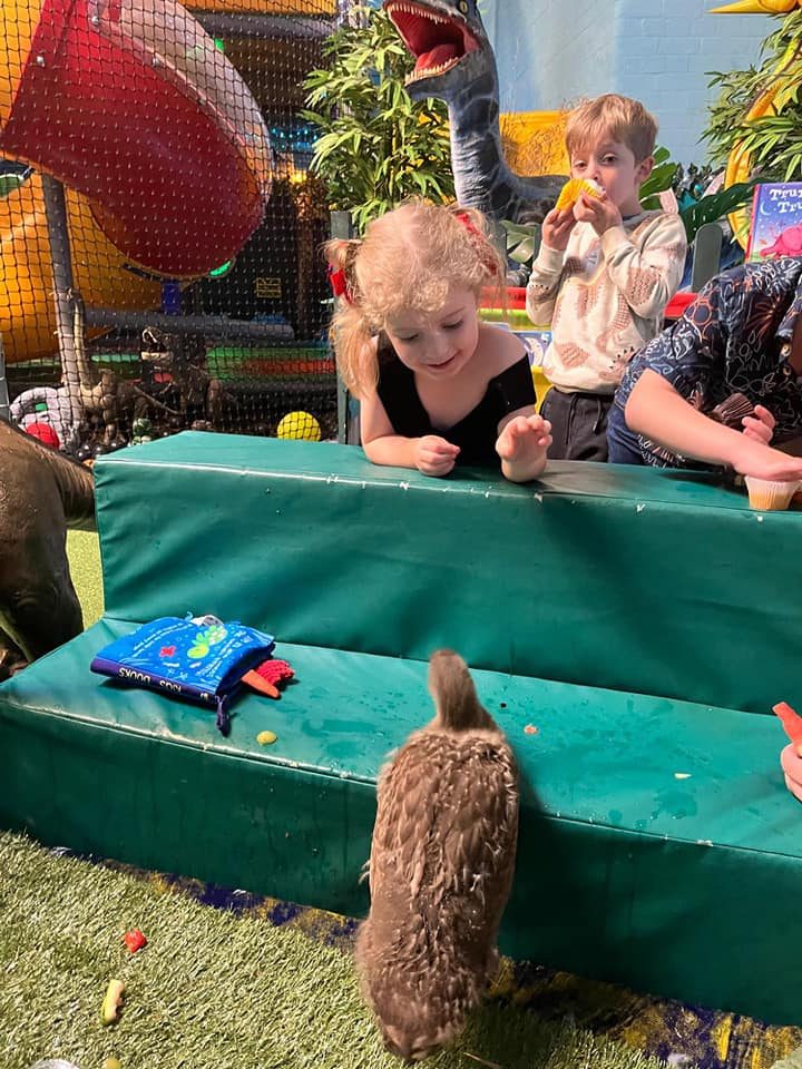 Adventure Playground Limited