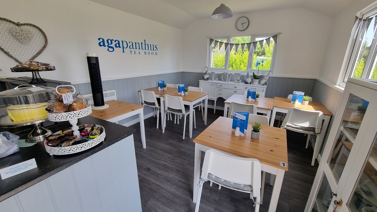 Agapanthus Tearoom