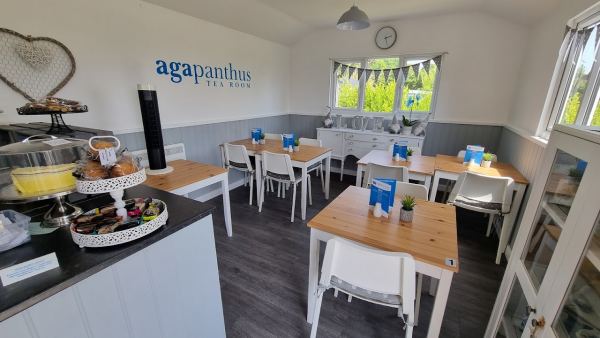 Agapanthus Tearoom