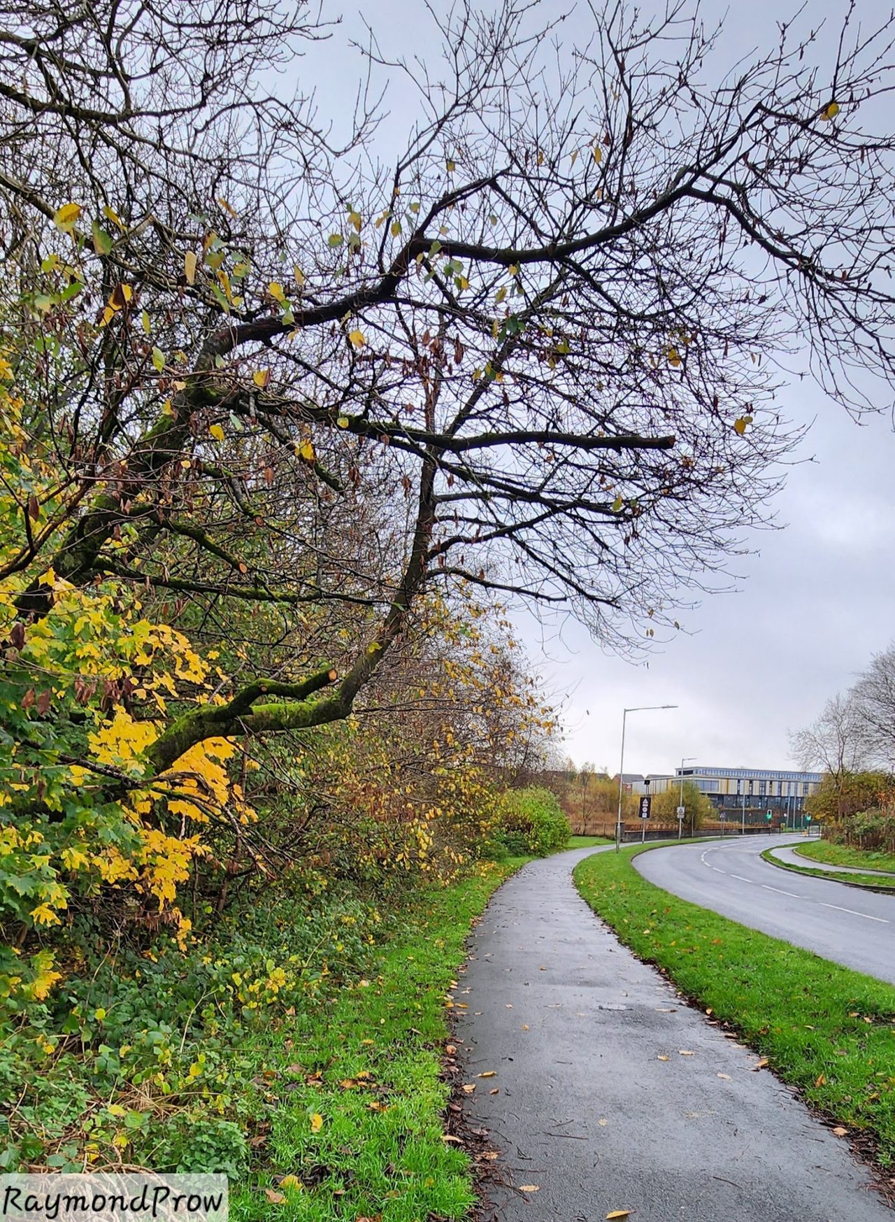 Alison  Lea Community Centre