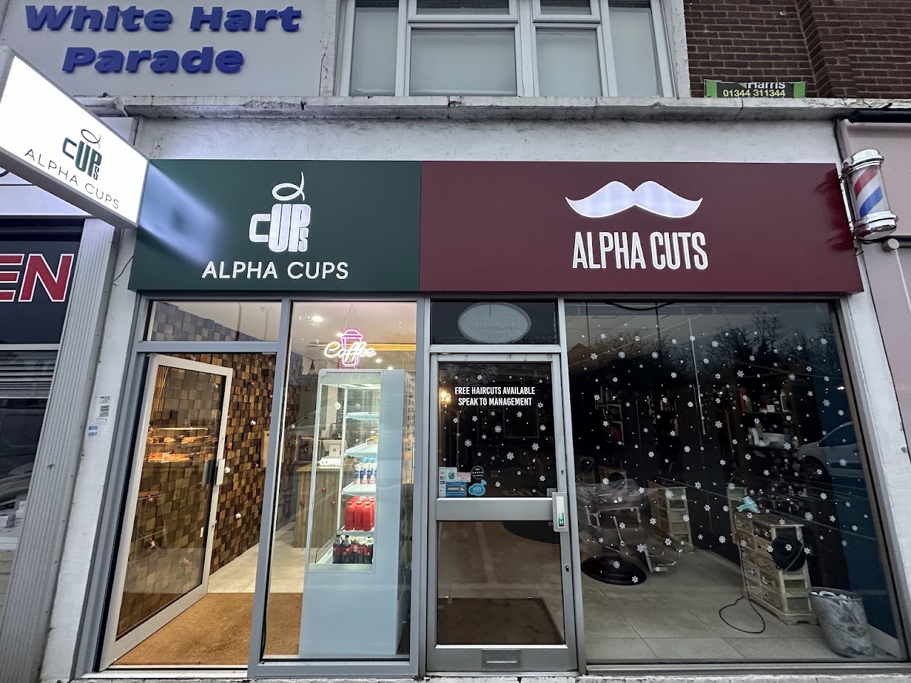 Alpha Cups