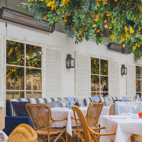 Alto By San Carlo