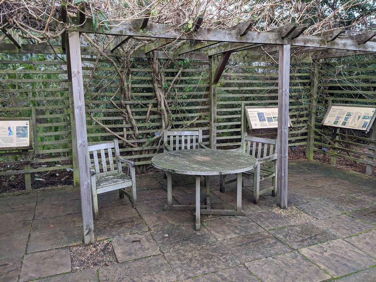 Arboretum Community Cafe