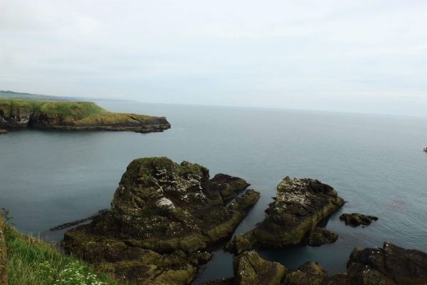 Ardnamurchan estate Ltd