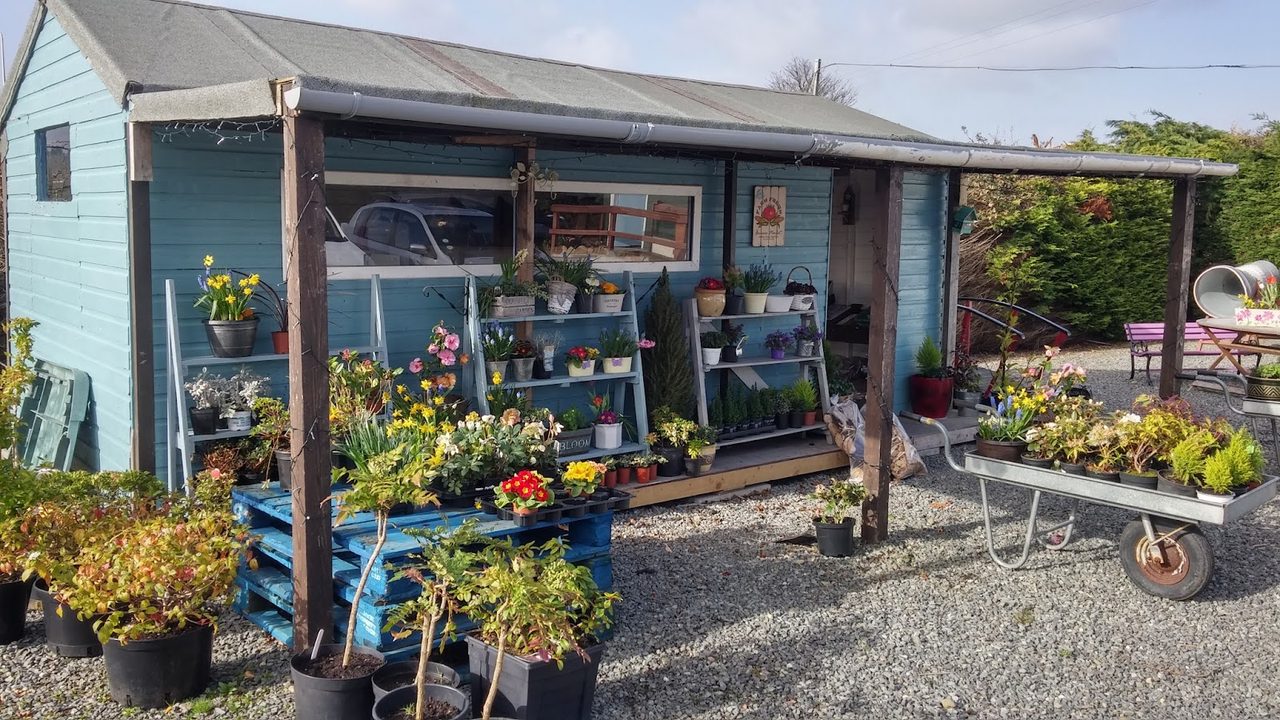 Ark Community Gardens & Coffee Shop