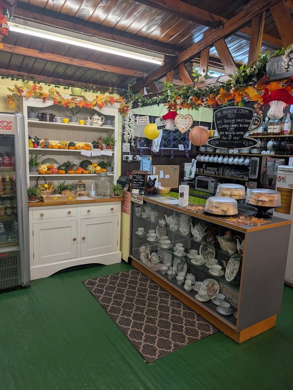 Arlington Tea Rooms And Gardens