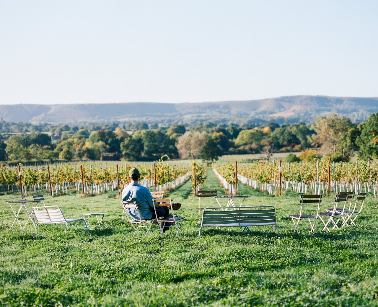 Artelium Wine Estate LLP
