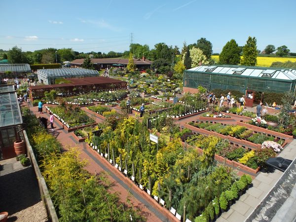 Ashwood Nurseries Ltd