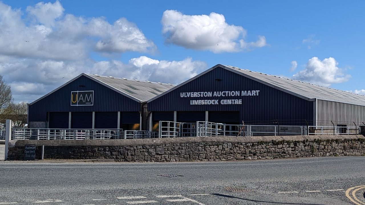 Auction Mart Cafe