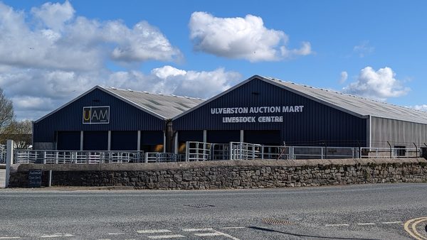 Auction Mart Cafe