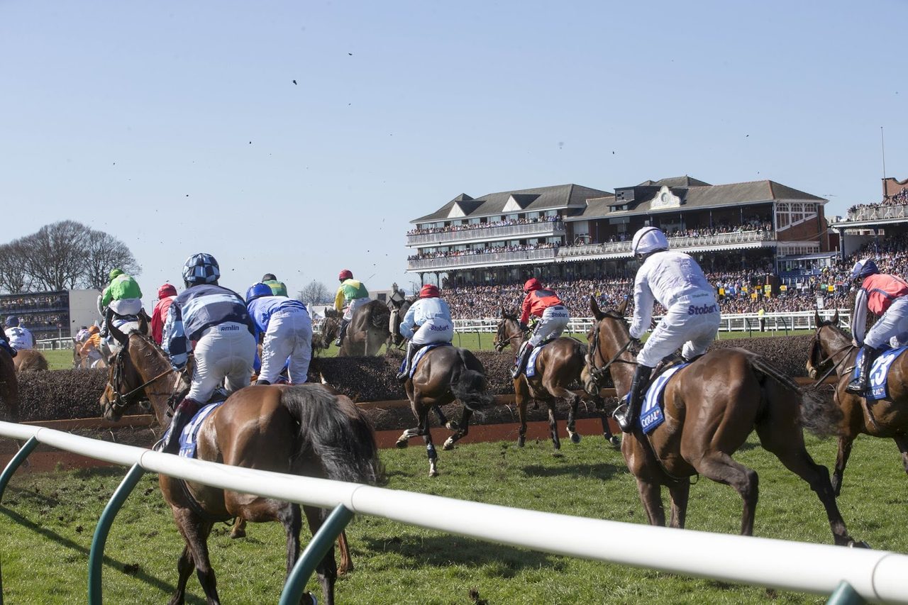Ayr Racecourse