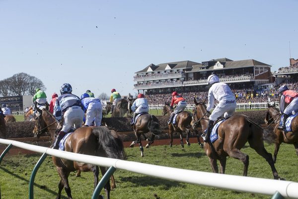 Ayr Racecourse