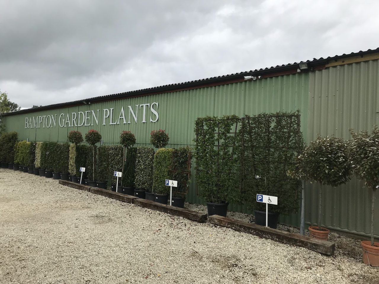 Bampton Garden Plants