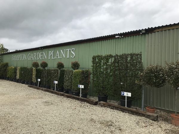 Bampton Garden Plants