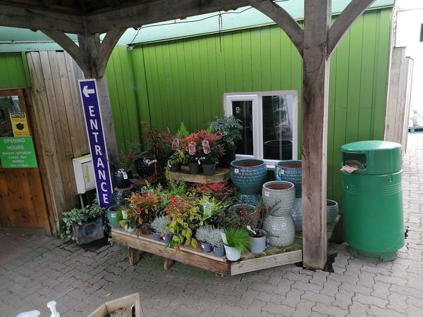 Banwell Garden Centre Cafe