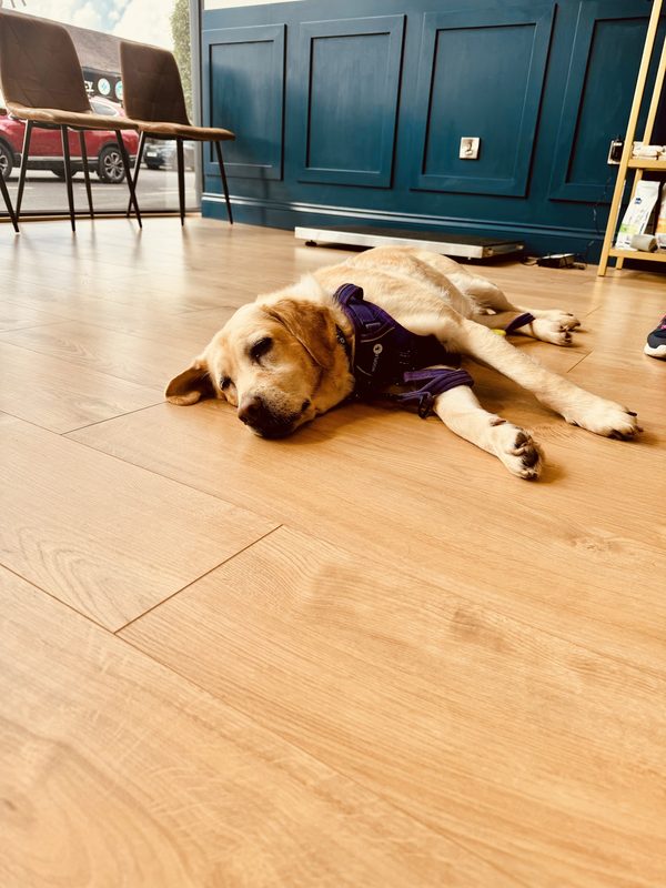 Bark & Brew @ Southside Veterinary Clinic