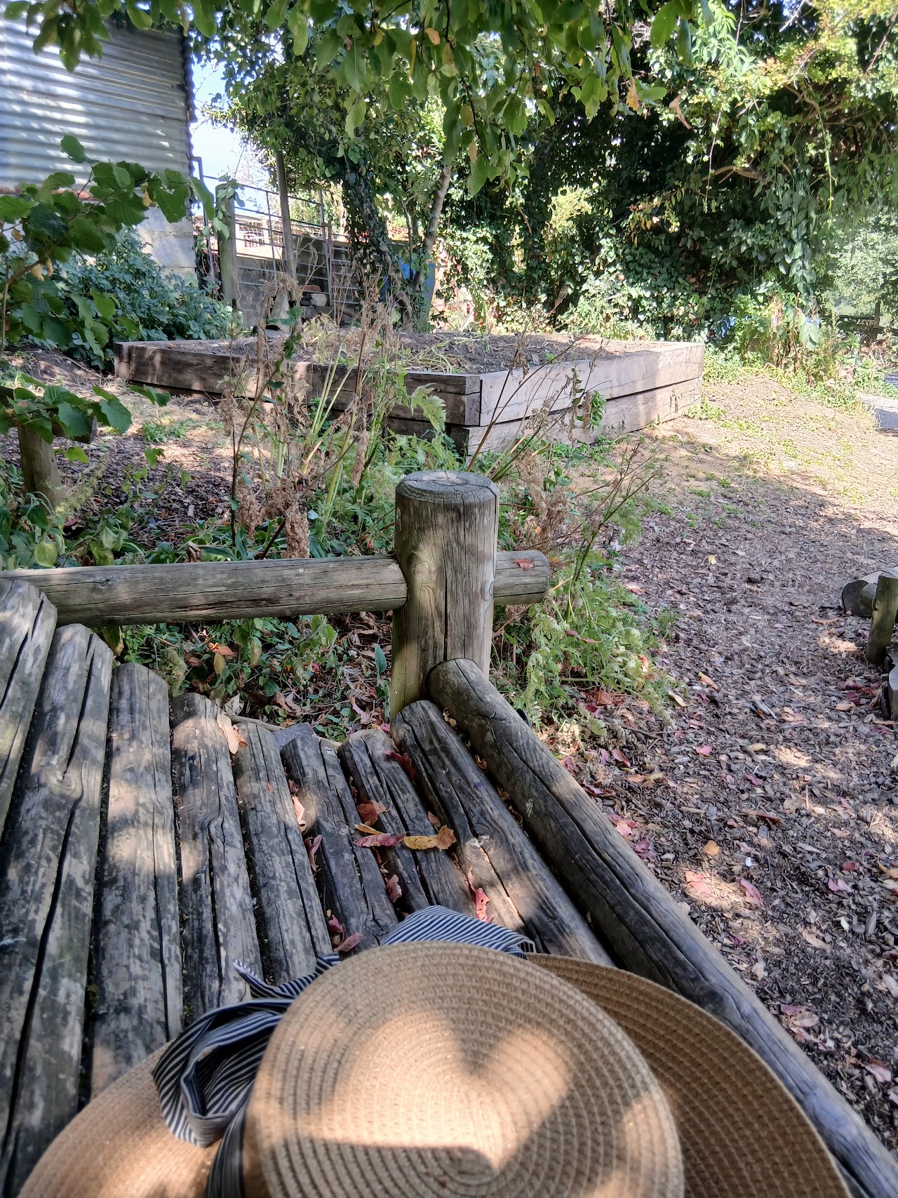Bath City Farm Cafe And Training Kitchen