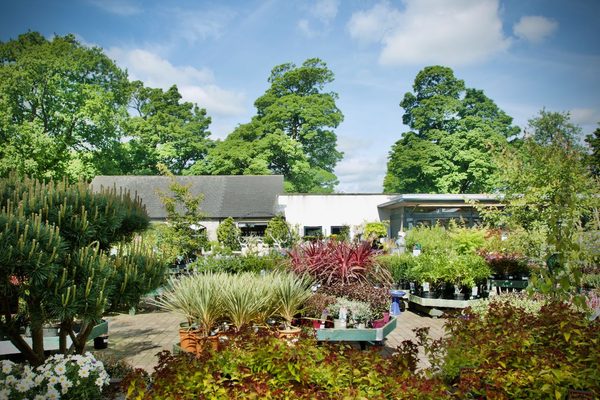 Beetham Nurseries
