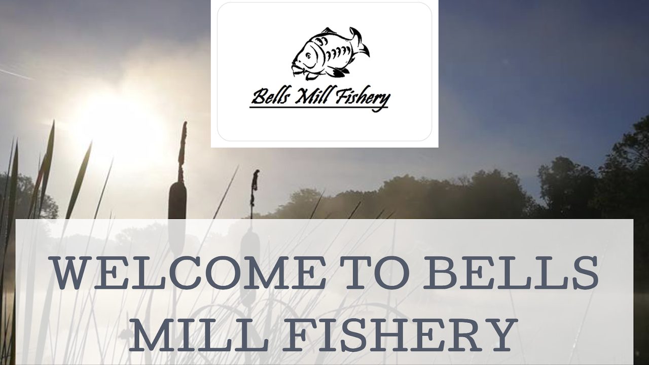 Bells Mill Fishery