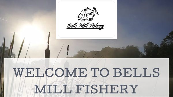Bells Mill Fishery