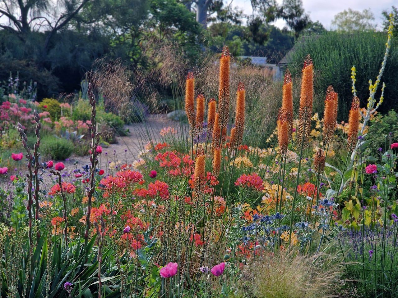 Beth Chatto Gardens Ltd