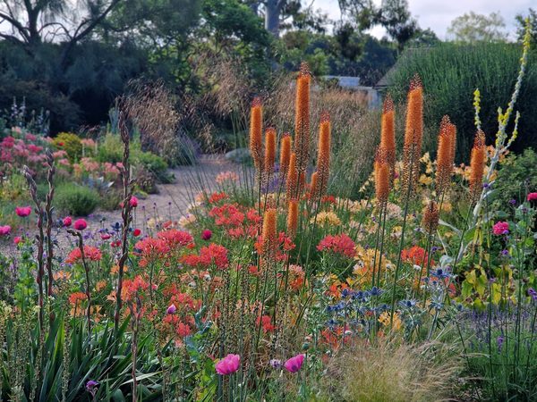 Beth Chatto Gardens Ltd