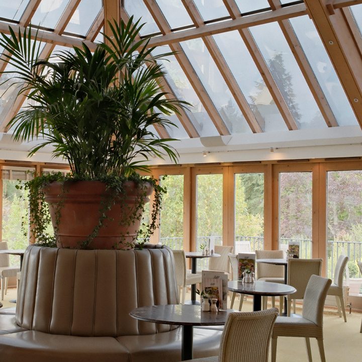 Bettys Cafe Tea Rooms