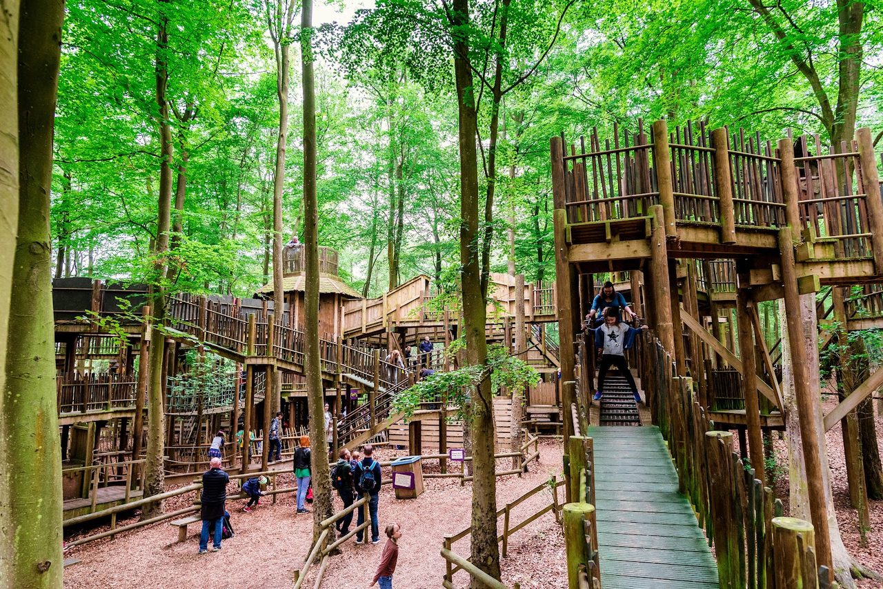 Bewilderwood