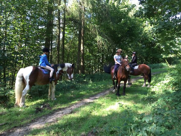 Bilsdale Riding Centre